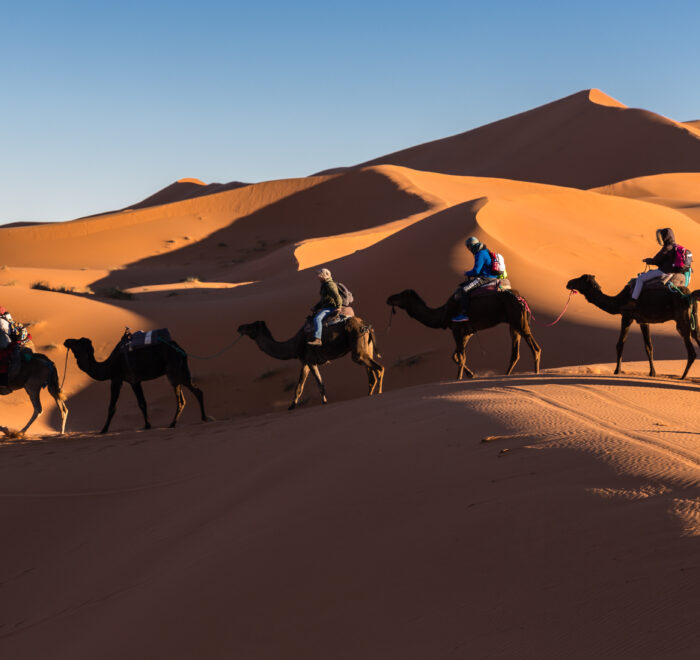 4 days tour from marrakech to merzouga