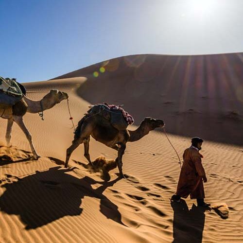 Draa Valley and Tinfou Dunes