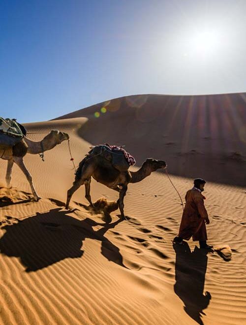 Draa Valley and Tinfou Dunes