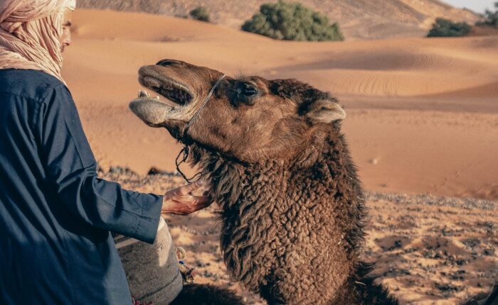 5-day agadir to merzouga desert tour