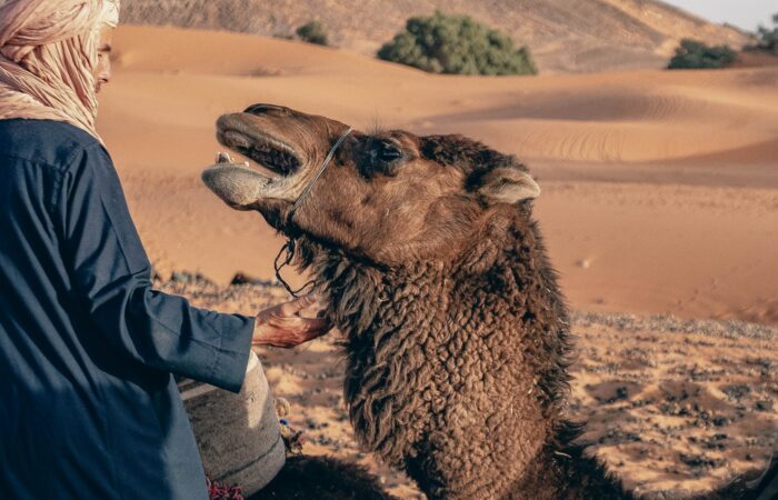 5-day agadir to merzouga desert tour