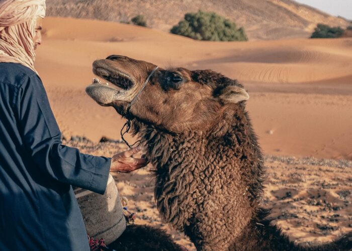 5-day agadir to merzouga desert tour