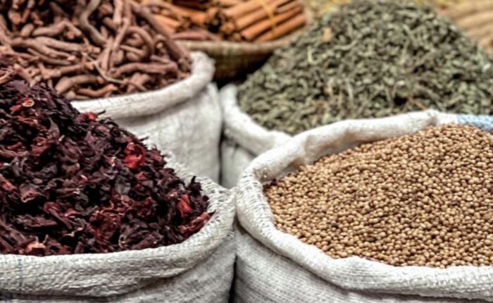 Best Places To Visit In Marrakech