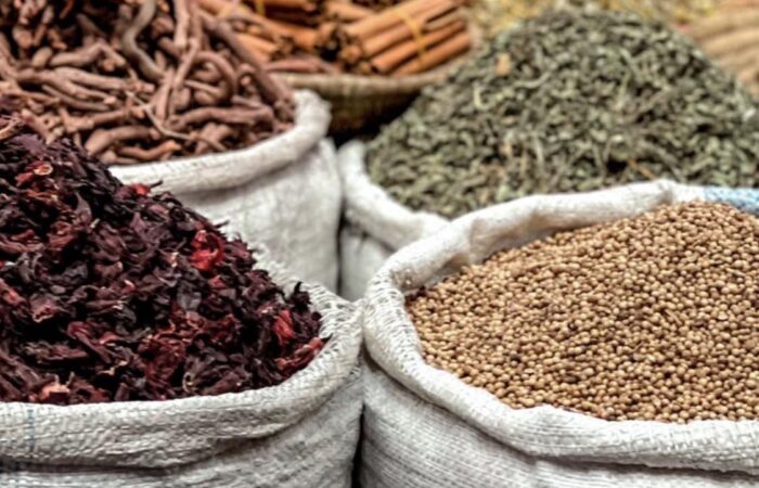 Best Places To Visit In Marrakech