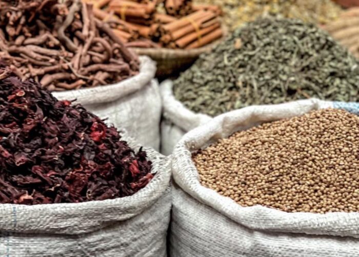 Best Places To Visit In Marrakech