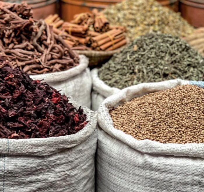 Best Places To Visit In Marrakech