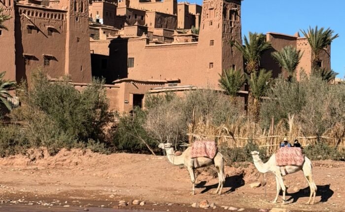 circuit sud marocain 7 jours