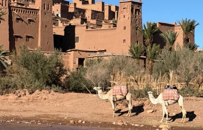 circuit sud marocain 7 jours