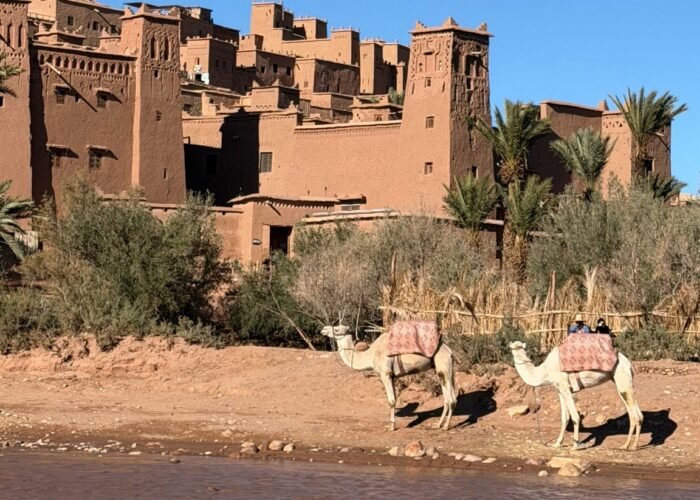 circuit sud marocain 7 jours