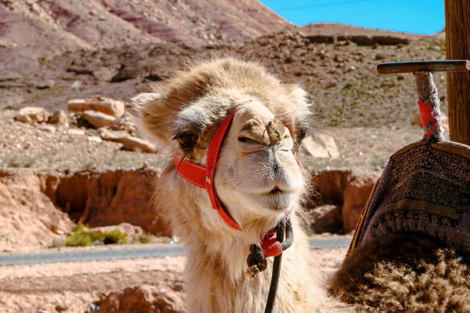 Ait Ben Haddou From Marrakech