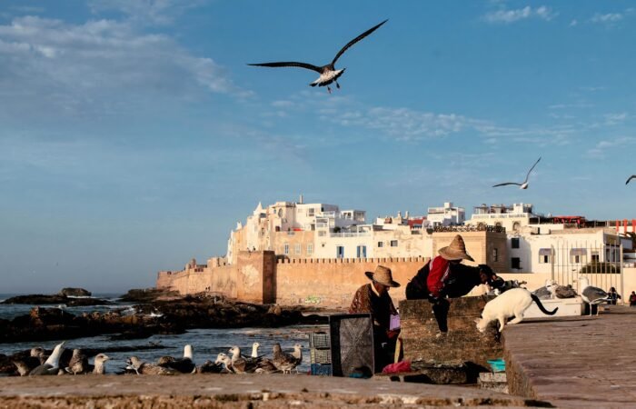 Private day trip from Marrakech to Essaouira