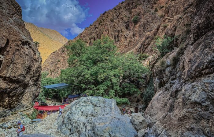 Ourika Valley day trip​