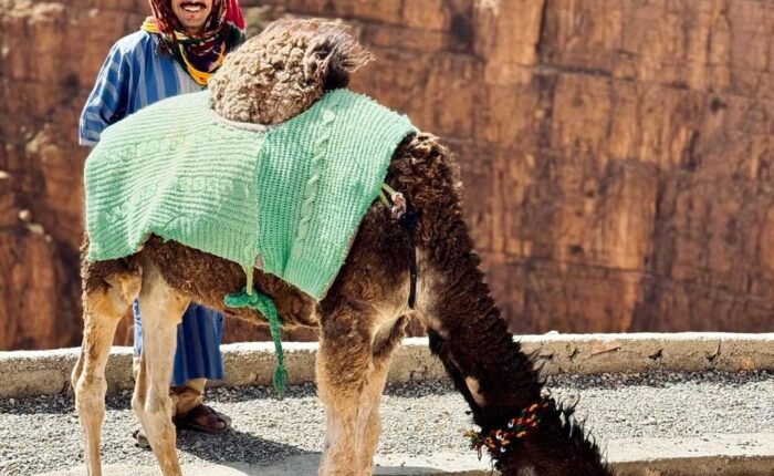 2 Days Desert Tour From Ouarzazate