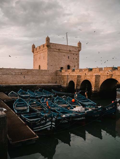 Day Trips from Marrakech to Essaouira