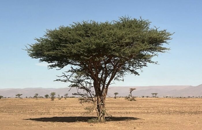 2 Days From Fes To Merzouga Desert