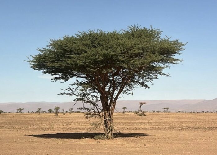 2 Days From Fes To Merzouga Desert