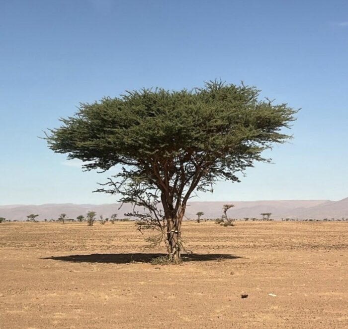 2 Days From Fes To Merzouga Desert