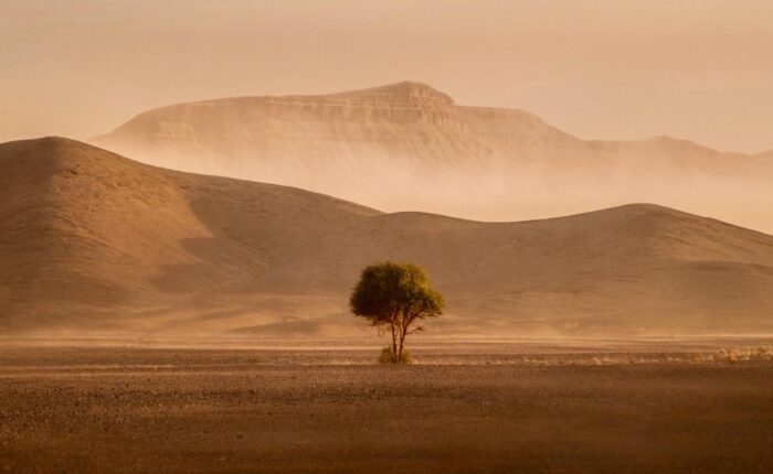 3 Days Desert Tour From Fes To Marrakech