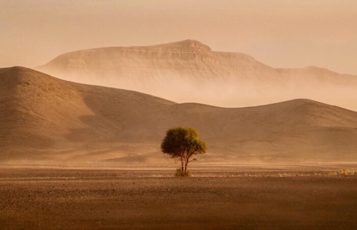 3 Days Desert Tour From Fes To Marrakech