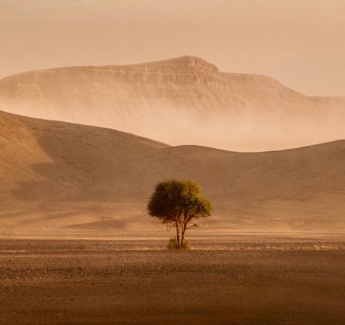 3 Days Desert Tour From Fes To Marrakech