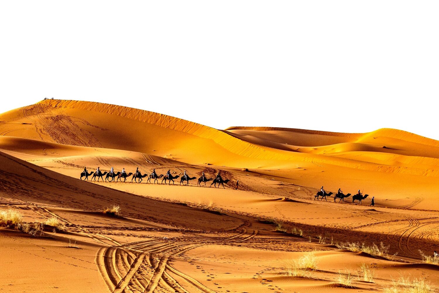 2 Days Desert Tour From Marrakech To Zagora