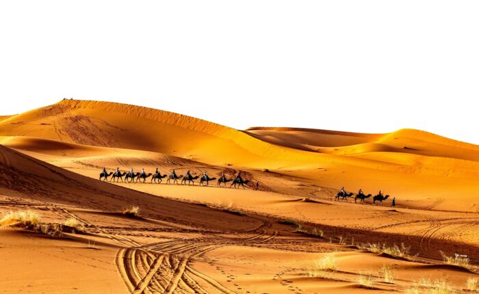 2 Days Desert Tour From Marrakech To Zagora