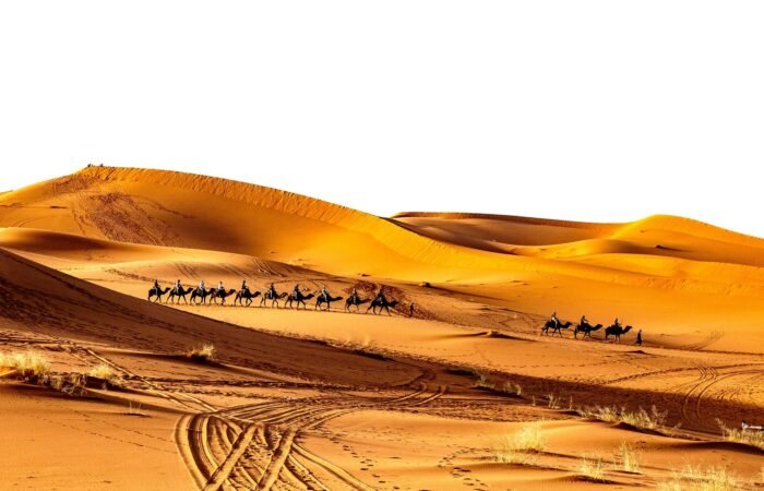 2 Days Desert Tour From Marrakech To Zagora