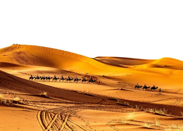 2 Days Desert Tour From Marrakech To Zagora