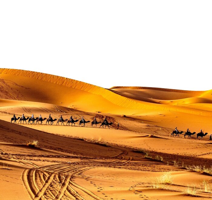 2 Days Desert Tour From Marrakech To Zagora