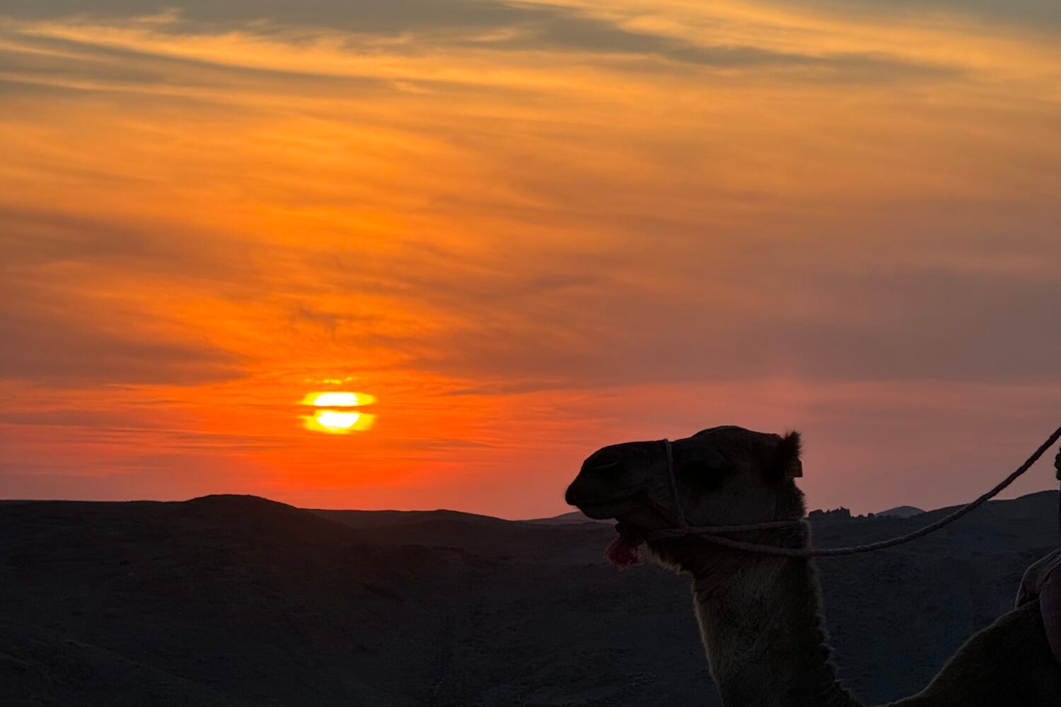 excursion desert depart Ouarzazate
