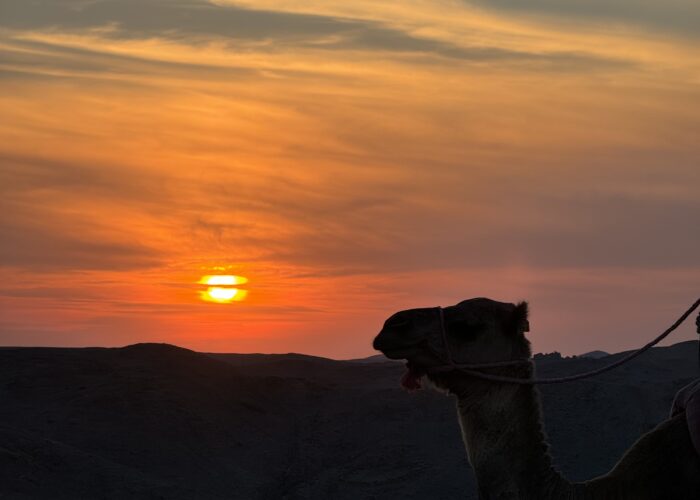 4 Days From Ouarzazate To Merzouga Desert Tour