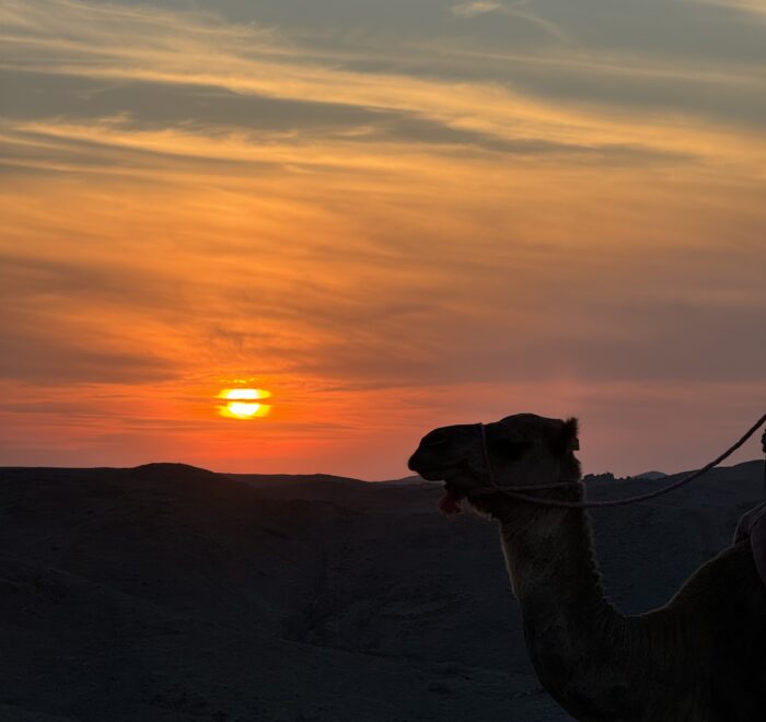 4 Days From Ouarzazate To Merzouga Desert Tour