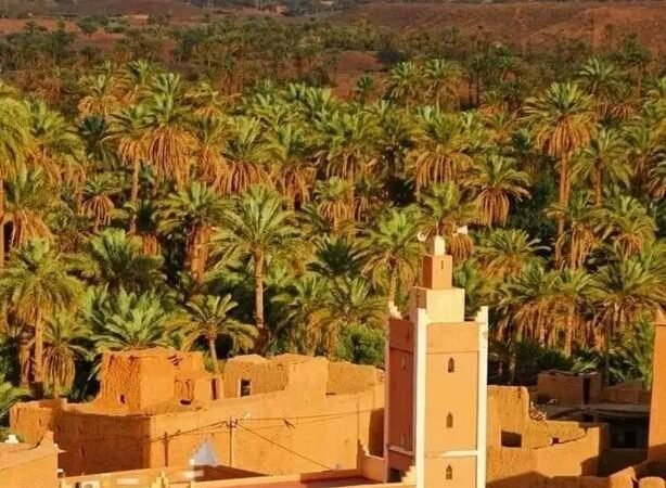 Desert Trip From Marrakech To Tinfou