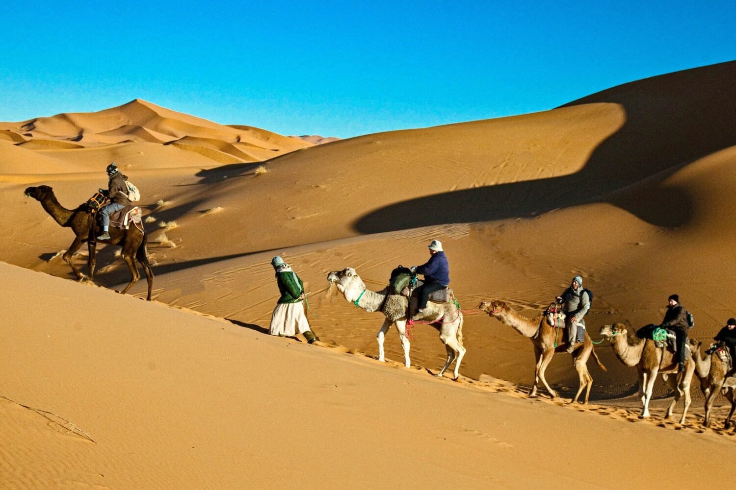 Circuit Maroc 15 jours