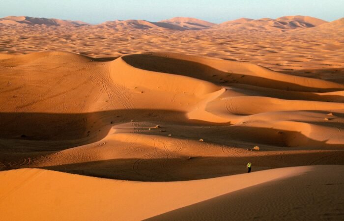 Excursion Désert Ouarzazate​