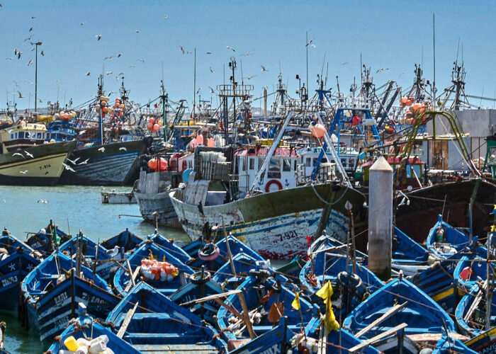 Excursion Essaouira depuis Marrakech