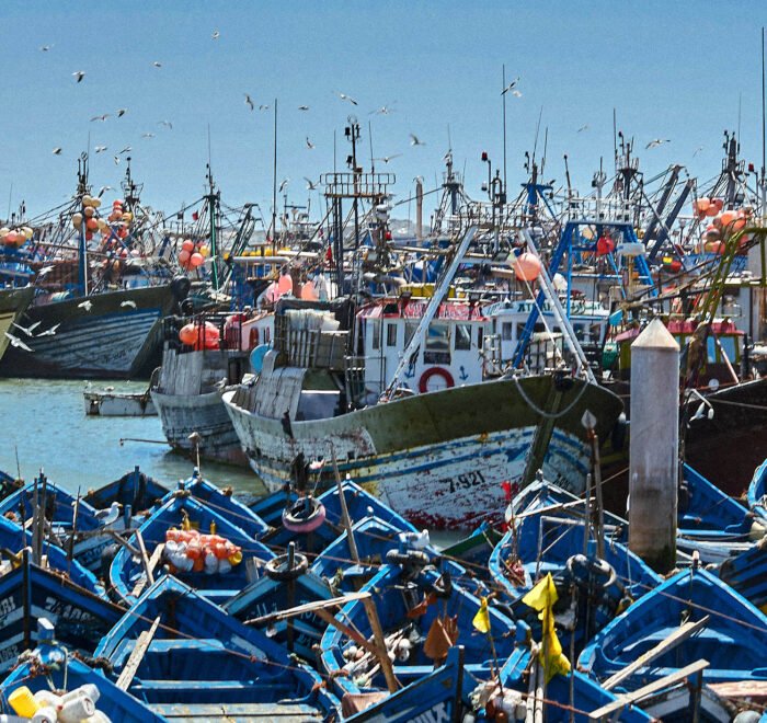 Excursion Essaouira depuis Marrakech