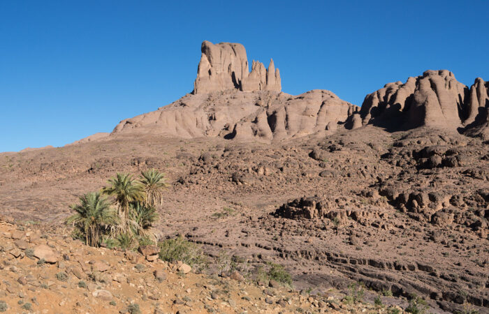 Djebel Saghro Trek