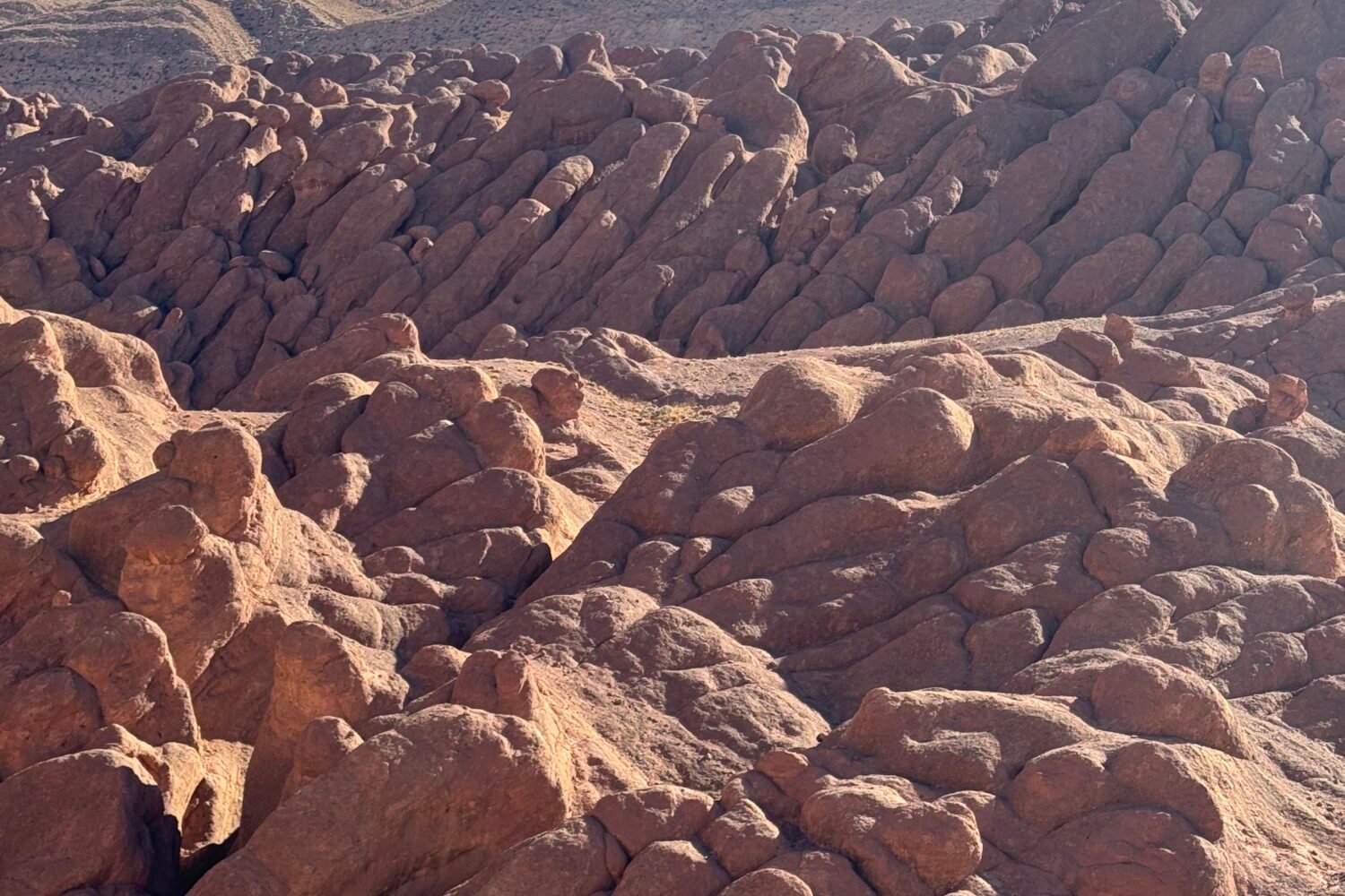 Voyage sur mesure Maroc