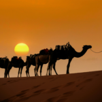 Excursions 3 jours 2 nuits au départ Marrakech