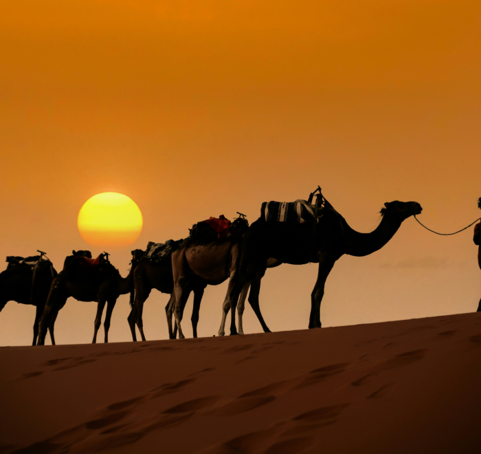 Excursions 3 jours 2 nuits au départ Marrakech