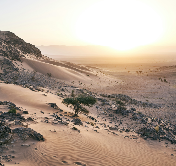 Marrakech: 2-day desert tour