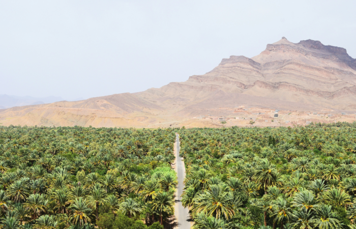 Marrakech: 2-day desert tour