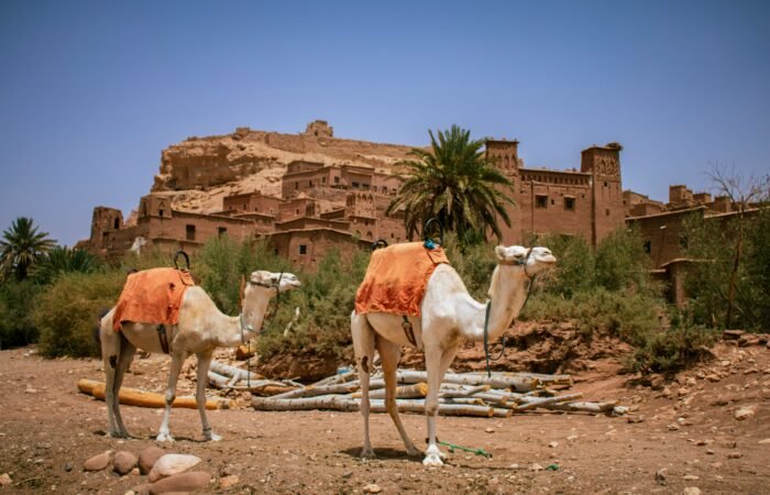 Marrakech: 2-day desert tour