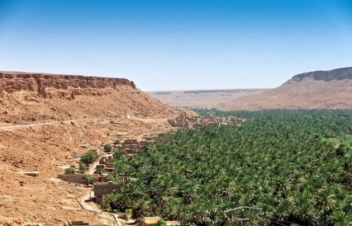 La plus grande oasis du monde se trouve au Maroc un joyau à voir