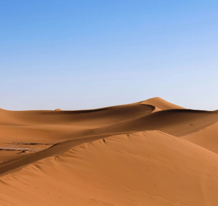 7 days in Morocco from Marrakech