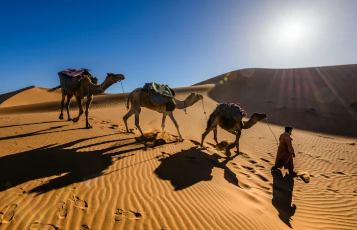Voyage organisé du Maroc