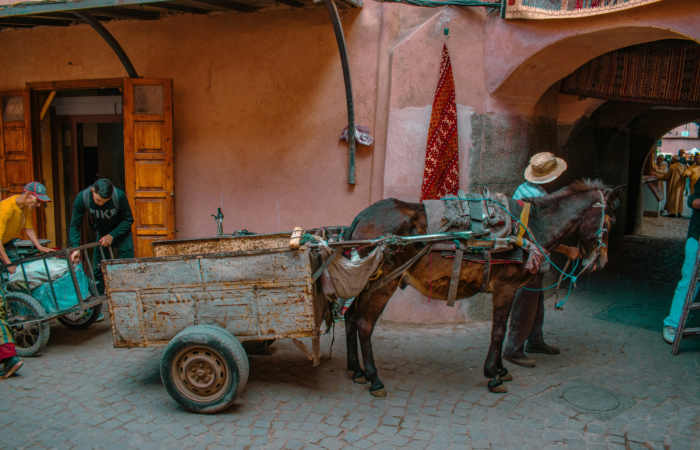 Fez or Marrakech