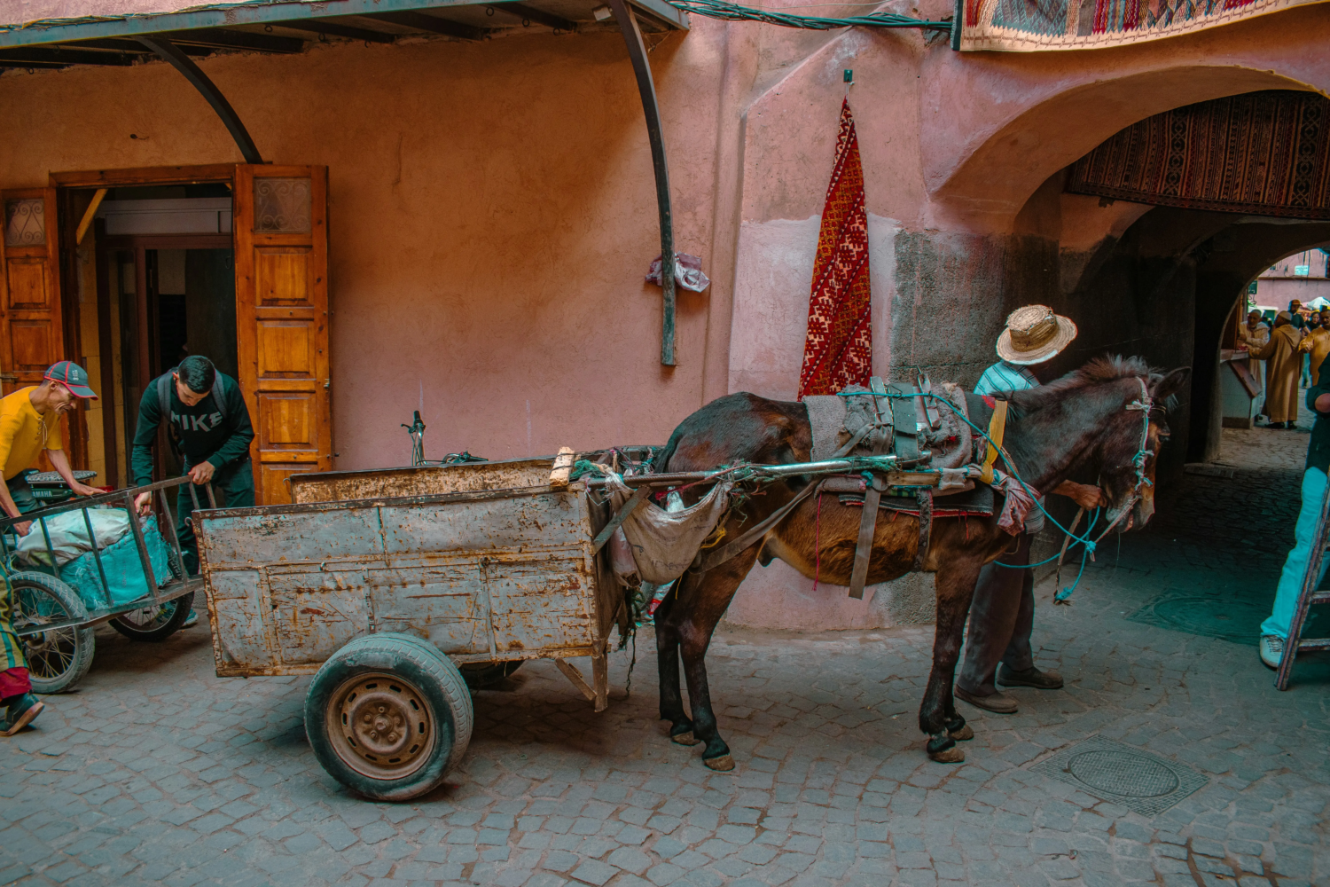 Fez or Marrakech