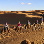 12 day Morocco tour from Casablanca